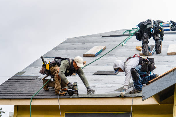 Professional Roof Repair technician working in East Pharsalia, NY
